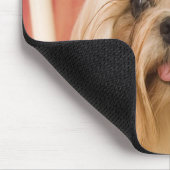Shih-tzu hond muismat (Hoek)