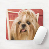Shih-tzu hond muismat (Met muis)