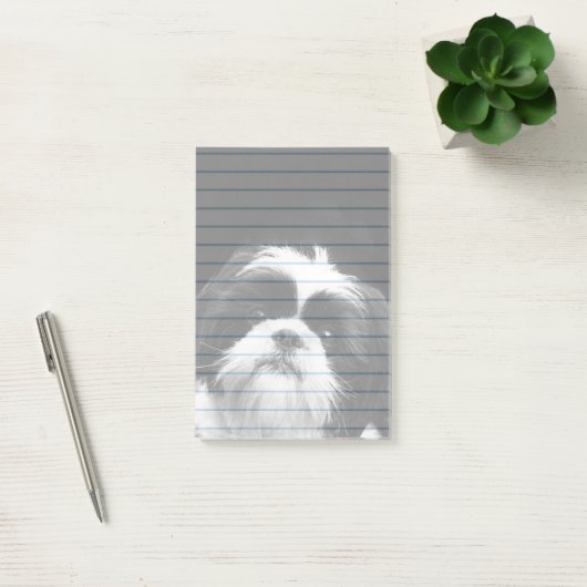 Shih Tzu-hond postt 4X6-pad Post-it® Notes (Kantoor)