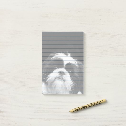Shih Tzu-hond postt 4X6-pad Post-it® Notes (Op bureau)
