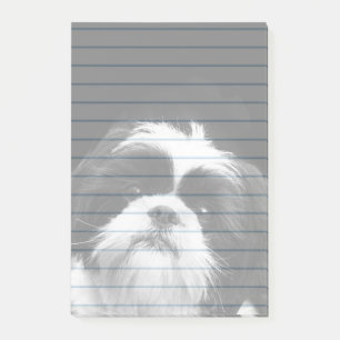 Shih Tzu-hond postt 4X6-pad Post-it® Notes