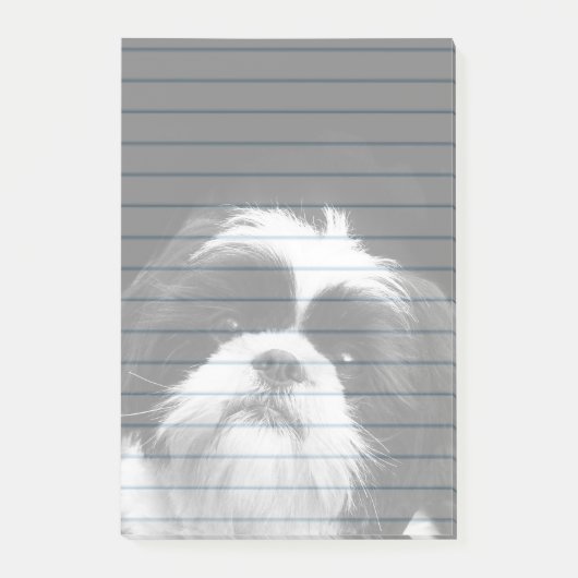 Shih Tzu-hond postt 4X6-pad Post-it® Notes (Voorkant)