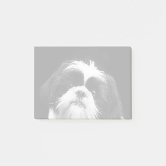 Shih Tzu-hond postt notitie Post-it® Notes (Voorkant)