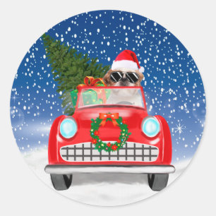Shih Tzu-hond rijdt auto in sneeuw met Kerstmis Ronde Sticker