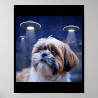 Shih tzu hond shihtzu hond alien ufos shitzhu grap