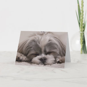 Shih Tzu hond slapen Kaart