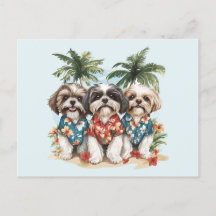 Shih Tzu Honden met Hawaiiaanse Shirten