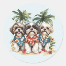 Shih Tzu Honden met Hawaiiaanse Shirten