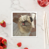Shih Tzu-honden papieren servetten (Insitu)
