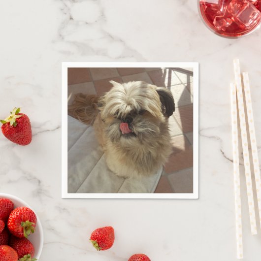 Shih Tzu hondenpapieren servetten (Insitu)
