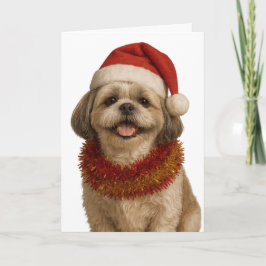 Shih Tzu in a Santa hat Christmas card Kaart