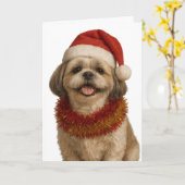 Shih Tzu in a Santa hat Christmas card Kaart (Gele Bloem)