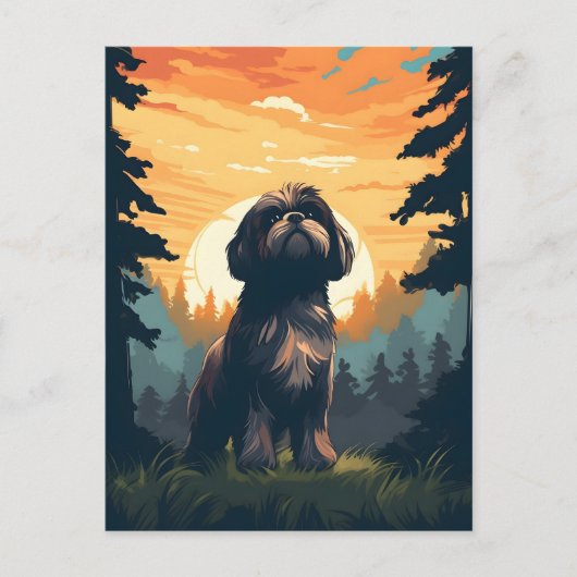 Shih Tzu in bos tijdens zonsondergang Briefkaart (Voorkant)