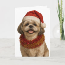Shih Tzu in een kerstmuts kerstkaart