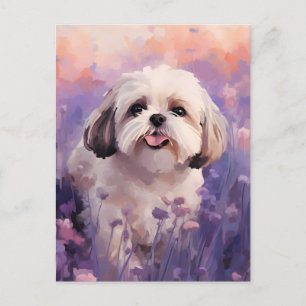 Shih Tzu in Lavendel veld Briefkaart