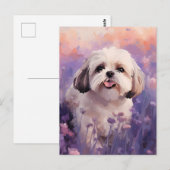 Shih Tzu in Lavendel veld Briefkaart (Voorkant / Achterkant)