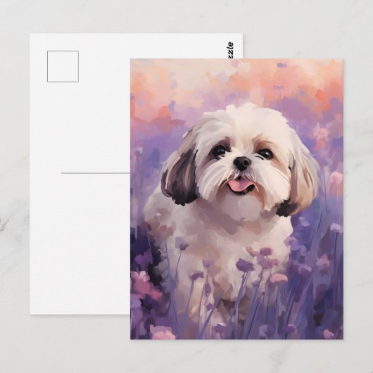 Shih Tzu in Lavendel veld Briefkaart (Voorkant / Achterkant)