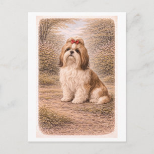 Shih Tzu in vintage stijl Briefkaart
