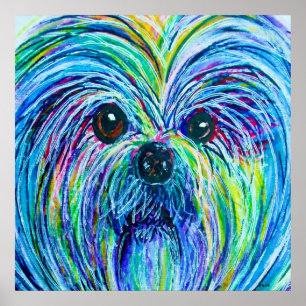 Shih Tzu Intense Colors Poster