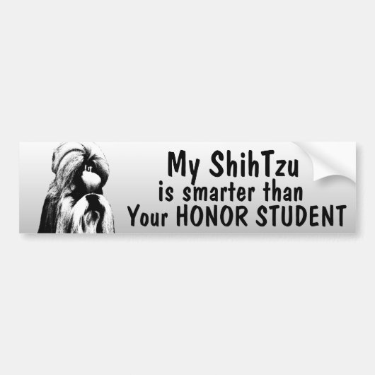 Shih Tzu is slimmer dan eerling student - grappig Bumpersticker (Voorkant)