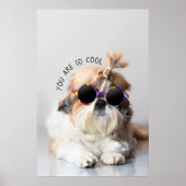 Shih Tzu Je bent zo leuk en leuk zonnebril Foto Poster (Voorkant)