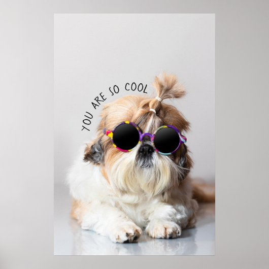 Shih Tzu Je bent zo leuk en leuk zonnebril Foto Poster (Voorkant)