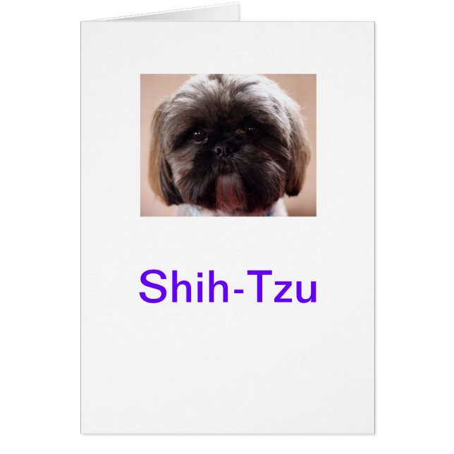 Shih-Tzu-kaart (Voorkant)