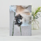 Shih Tzu Kaart (Staand voorkant)