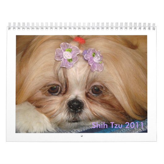 Shih Tzu Kalender (Hoes)