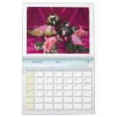 Shih Tzu Kalender (Feb 2026)