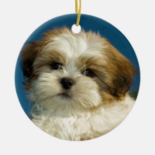 Shih Tzu Keramisch Ornament (Voorkant)