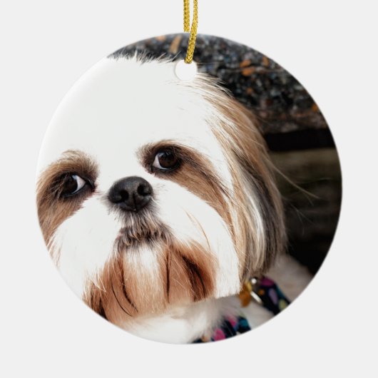 Shih Tzu Keramisch Ornament (Voorkant)
