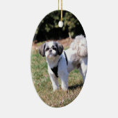 Shih Tzu Keramisch Ornament (Rechts)