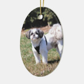 Shih Tzu Keramisch Ornament (Links)