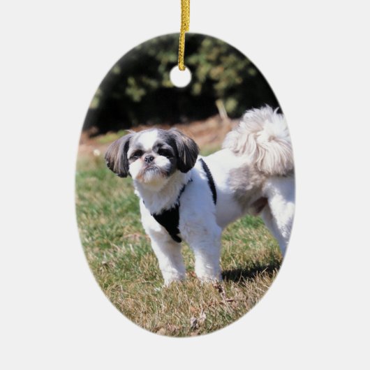 Shih Tzu Keramisch Ornament (Voorkant)
