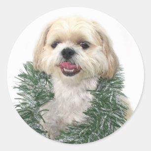 Shih Tzu-Kerst sticker