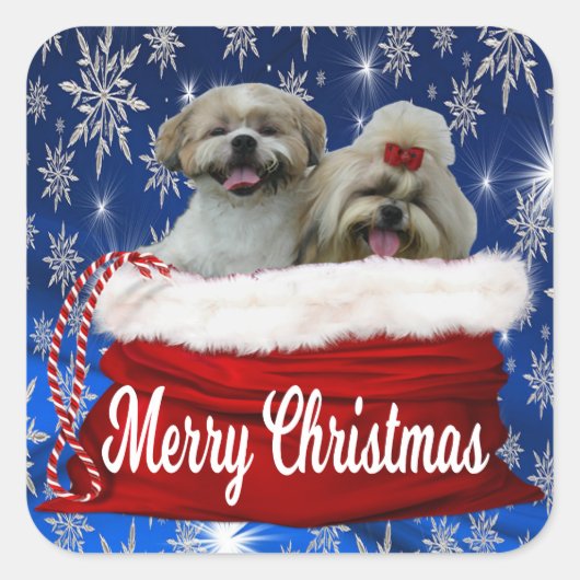 Shih tzu Kerst stickers (Voorkant)