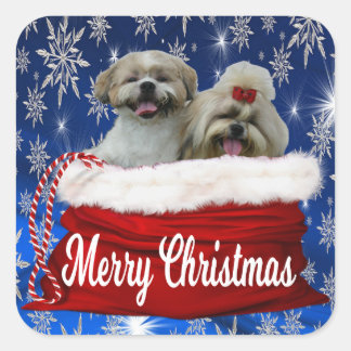 Shih tzu Kerst stickers