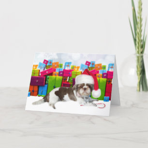 Shih Tzu Kersthond Kaart