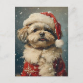 Shih Tzu Kerstmis Briefkaart (Voorkant)