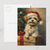 Shih Tzu Kerstmis Briefkaart (Voorkant / Achterkant)
