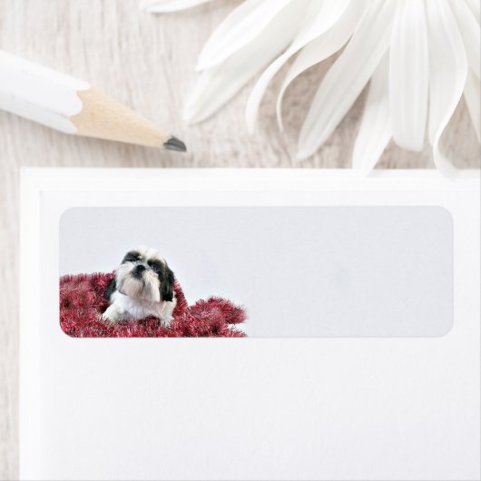 Shih Tzu Kerstmis Etiket (Insitu)