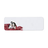 Shih Tzu Kerstmis Etiket (Voorkant)