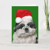 Shih Tzu Kerstmis Feestdagen Kaart (Voorkant)