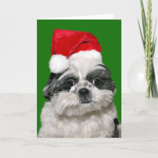 Shih Tzu Kerstmis Feestdagen Kaart (Voorkant)