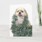 Shih Tzu Kerstmis Feestdagen Kaart (Voorkant)