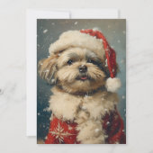 Shih Tzu Kerstmis Feestdagenkaart (Voorkant)
