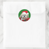 Shih Tzu Kerstmis Ronde Sticker (Tas)