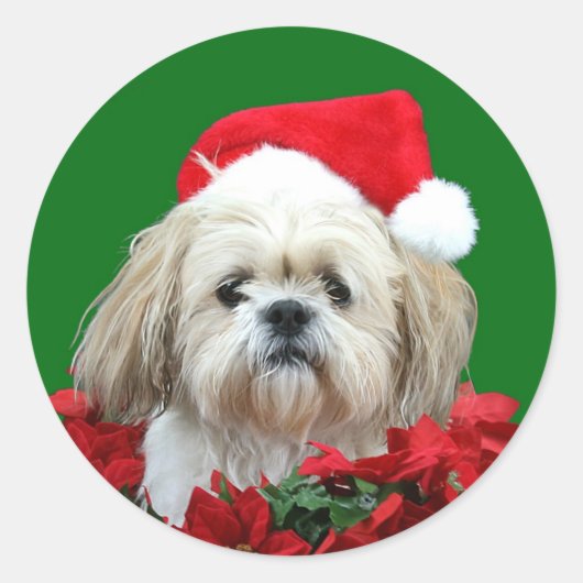 Shih Tzu Kerstmis Ronde Sticker (Voorkant)