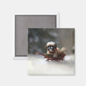 Shih Tzu Kerstmis sneeuw winter Magneet (Voorkant / Achterkant)